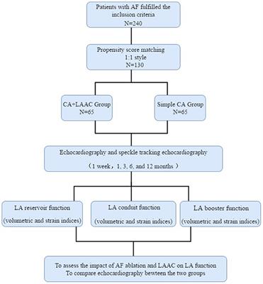 Effect of Left Atrial Appendage Closure in Combination With Catheter Ablation on Left Atrial Function for Persistent Atrial Fibrillation